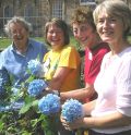 Volunteers in the gardens